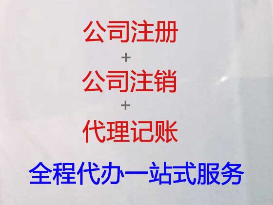 深圳专业注册公司办理,代办办理注册分公司,代办企业注销